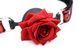 Кляп с розой Master Series: Eye-Catching Ball Gag With Rose, черно-красный SO8794 фото 3