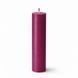 Свічка для WaxPlay Feral Feelings classic 15 см Cherry SX5172 фото