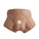 Півторс з фалоімітатором на присосці SilexD Apollo S Male Torso Caramel