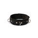 Ошейник с поводком Liebe Seele Boudoir Amor Collar with Leash Black, три кольца SX1668 фото 3