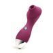 Вакуумный стимулятор KISTOY Polly Violet SO6543 фото 2