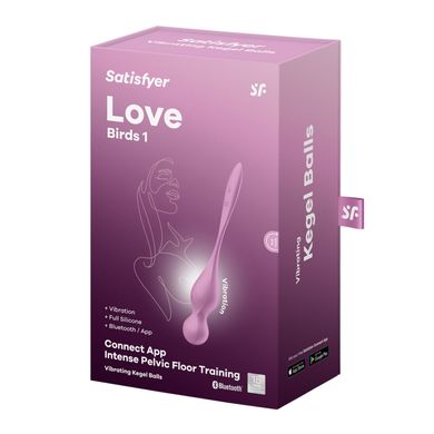 Вагінальні кульки з вібрацією Satisfyer Love Birds 1 Connect App Pink SX0570 фото