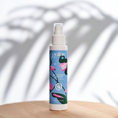 Антибактеріальний спрей для іграшок Goliate Nettoyant Sextoy 100 мл, безпечний для тіла SX3018 фото
