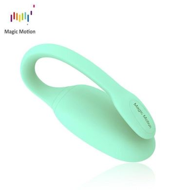 Смарт-тренажер Кегеля Magic Motion Kegel Rejuve, бюджетный вариант, для тренировок и удовольствия SO3114 фото