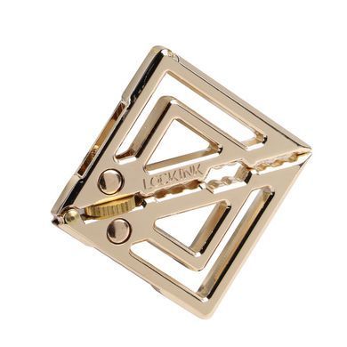 Зажимы для сосков с тяжелой подвеской LOCKINK Adjustable Nipple Clamps with Heavy Pendant, под золото SX0846 фото