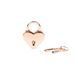 Замочек-сердечко Liebe Seele Heart Shape Padlock Rose Gold (2 шт), универсальный SX1678 фото