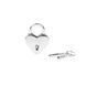 Замочек-сердечко Liebe Seele Heart Shape Padlock Silver (2 шт), универсальный SX1679 фото