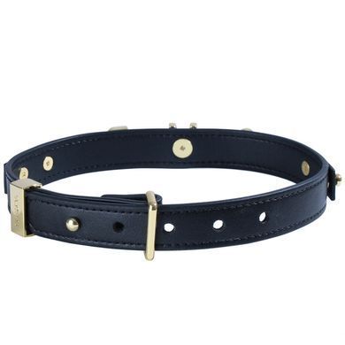 Нашийник LOCKINK Dark DIY Alphabet Collar, чорний, штучна шкіра, букви зі стразами SX0900 фото