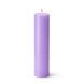 Свічка для WaxPlay Feral Feelings soft 15 см Light Purple SX5174 фото