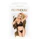 Комплект бралет та стрінги Penthouse - Double Spice Black L/XL SO5244 фото 3