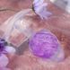 Анальная пробка Liebe Seele Icecream-shaped Crystal Anal Plug - Purple Small SX4858 фото 4