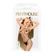 Бодістокінг у велику сітку Penthouse - Body Search Black S/L SO4408 фото 3