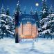 Подарочный набор Satisfyer Deluxe Advent Calendar 2025 SX2854 фото 6