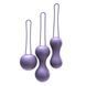 Набор вагинальных шариков Je Joue - Ami Purple, диаметр 3,8-3,3-2,7см, вес 54-71-100гр + подарок косметичка SO3042 фото 4