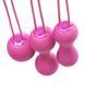 Набор вагинальных шариков Je Joue - Ami Fuchsia, диаметр 3,8-3,3-2,7см, вес 54-71-100гр + подарок косметичка SO3044 фото
